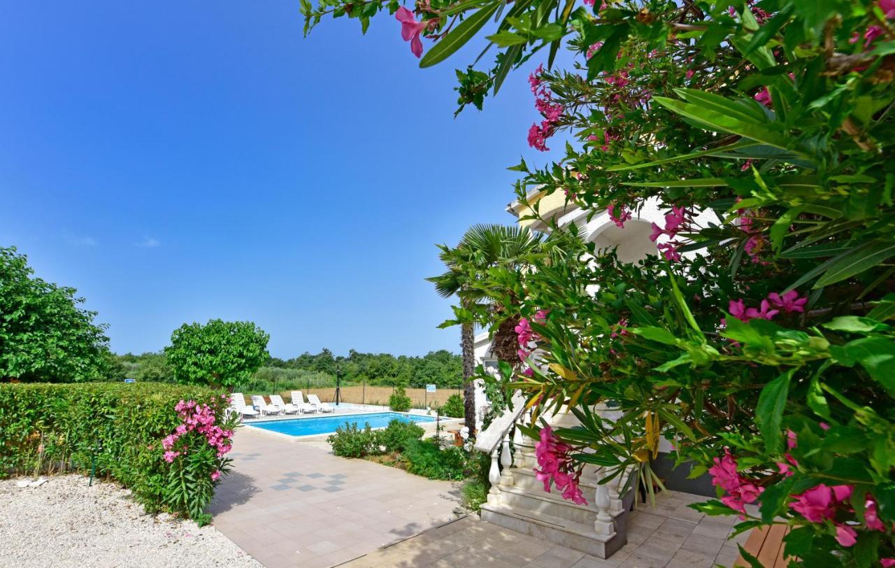 Apartments Ella بوريتش المظهر الخارجي الصورة